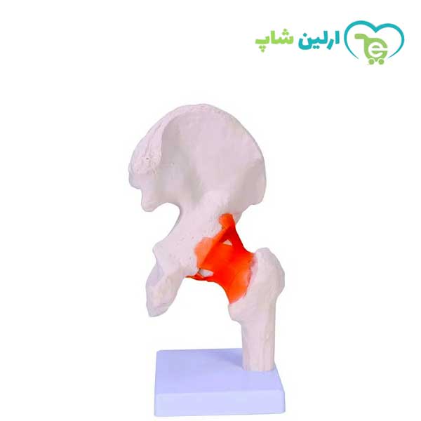 مولاژ ران مولاژ ران