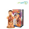 مولاژ نیم تنه عروسکی