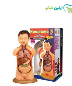 مولاژ نیم تنه عروسکی